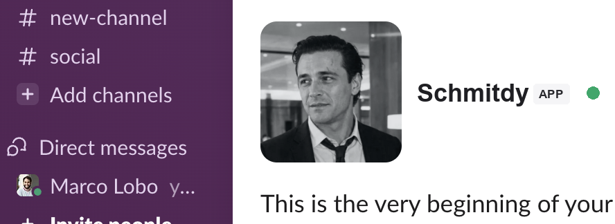 Slack-style Schmitdy app channel showing Schmitdy available in the team workspace